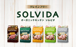 ソルビダfood特集
