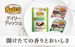 デイリーディッシュパウチタイプfood特集