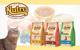 ナチュラルチョイスキャットfood特集