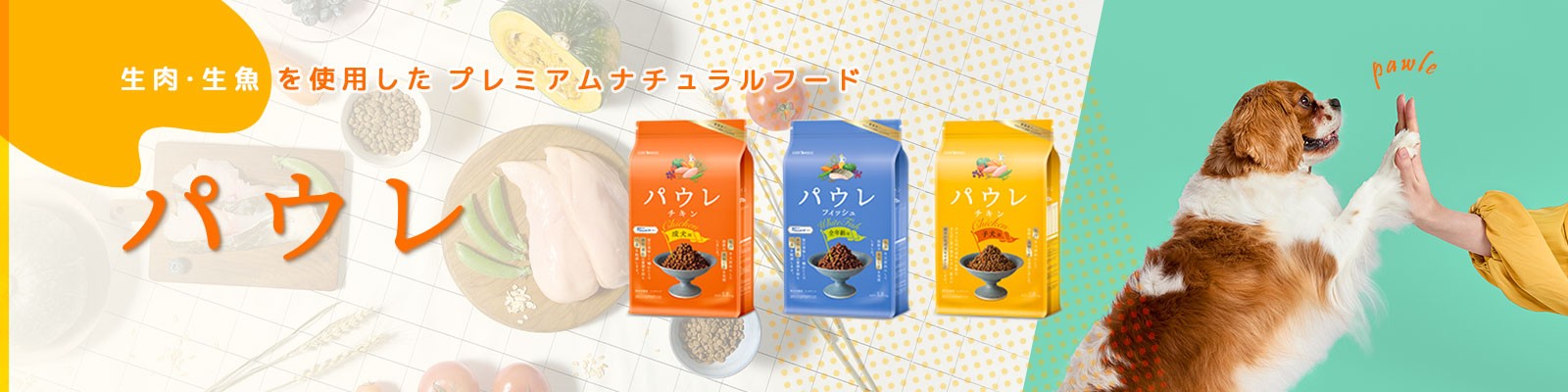 パウレ特集
