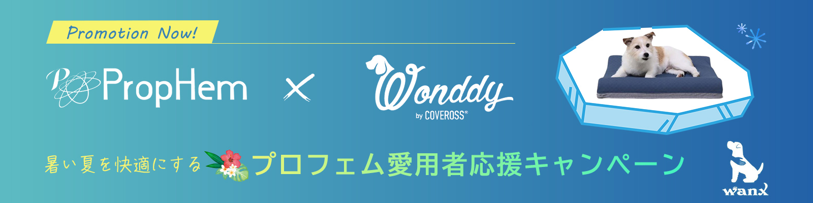 ワンクスセール