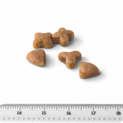 ロイヤルカナンＦＨＮ　センシブル３３　４ｋｇ