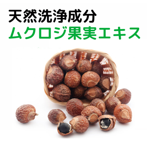 ＰＮ　水のいらないシニアの泡シャン２００ｍｌ