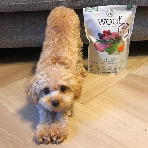 ＷＯＯＦ　ワフ　フリーズドライドッグフード　ダック　２８０ｇ