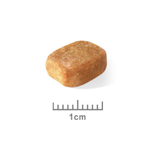 ロイヤルカナンＢＨＮ　チワワ　成犬用　８００ｇ