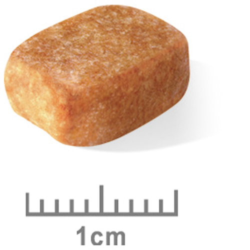 ロイヤルカナンＢＨＮ　チワワ　中高齢犬用　１.５ｋｇ