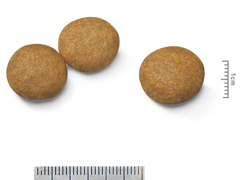 ロイヤルカナンＳＨＮ　ミディアムアダルト　４ｋｇ