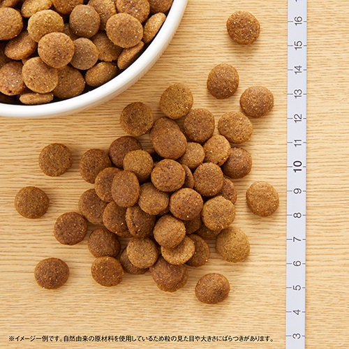 ニュートロナチュラルチョイス　チキン＆玄米　子犬大型犬　１５ｋｇ