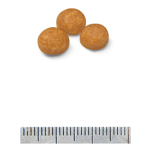 ロイヤルカナンＳＨＮ　エクストラスモールアダルト　３ｋｇ