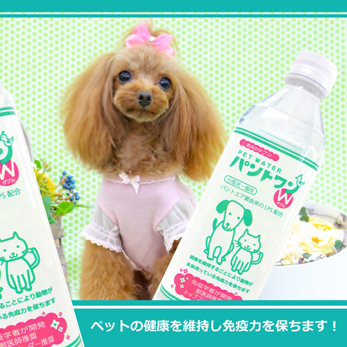 お水のサプリPETWATERパントワンＷ(小型犬・猫用)