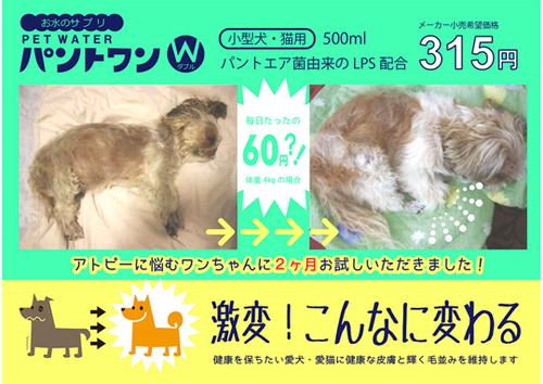 お水のサプリPETWATERパントワンＷ(小型犬・猫用)