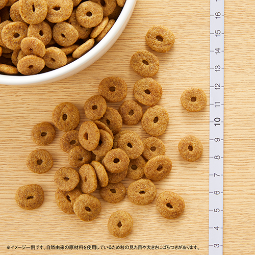 ニュートロナチュラルチョイス　チキン＆玄米　中型〜大型犬用　エイジングケア　４ｋｇ
