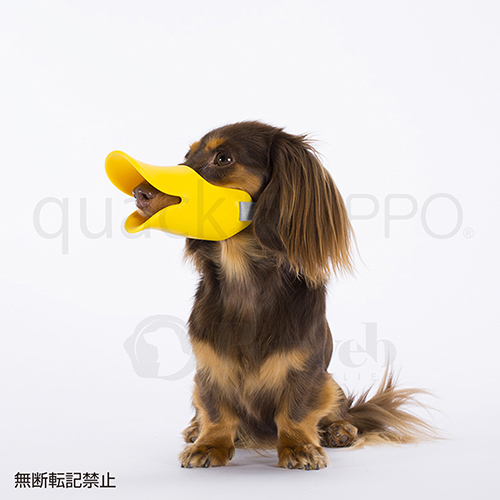 ＯＰＰＯ　ｑｕａｃｋ（クァック）　ＳＭ イエロー