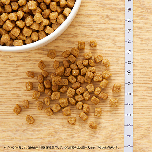 ニュートロナチュラルチョイス　チキン＆玄米　小型犬用　成犬用　３ｋｇ