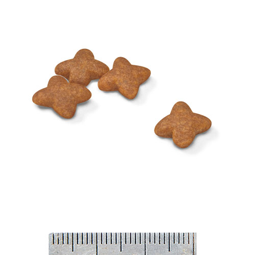 ロイヤルカナンＳＨＮ　ミニアダルト　８ｋｇ
