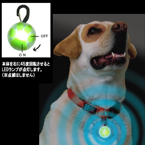ＮＩTＥＩＺＥ　ナイトアイズ　ペットリット　パウグリーン