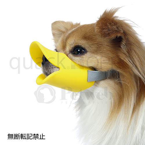 ＯＰＰＯ　ｑｕａｃｋ（クァック）　Ｓ　イエロー