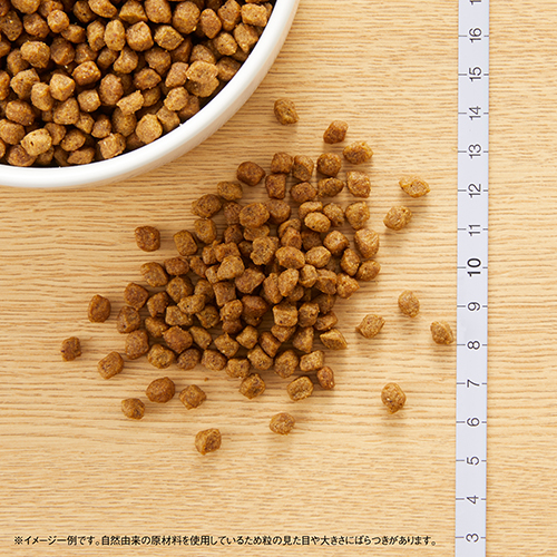ニュートロナチュラルチョイス　チキン＆玄米　超小型犬用　成犬用　８００ｇ