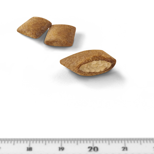 ロイヤルカナンＦＨＮ　エイジング１２＋　２ｋｇ