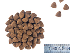 ロイヤルカナンＳＨＮ　ミニパピー　２ｋｇ