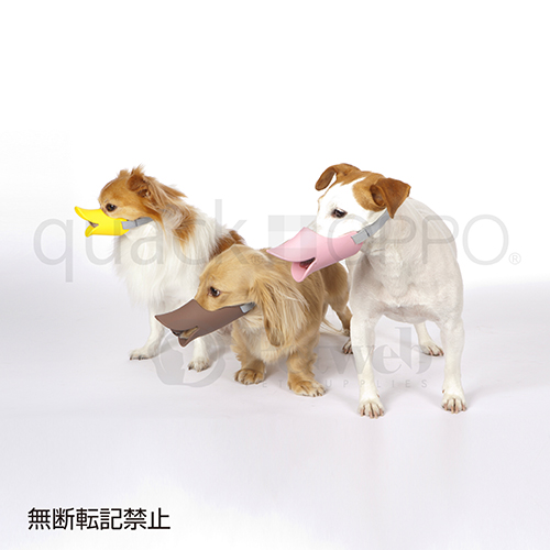ＯＰＰＯ　ｑｕａｃｋ（クァック）　Ｌ　イエロー