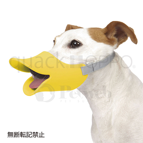 ＯＰＰＯ　ｑｕａｃｋ（クァック）　Ｌ　イエロー