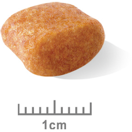 ロイヤルカナンＢＨＮ　プードル　中高齢犬用　１.５ｋｇ