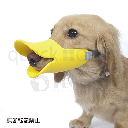 ＯＰＰＯ　ｑｕａｃｋ（クァック）　Ｍ　イエロー