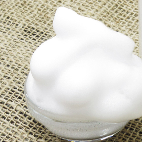 ＰＮ　水のいらないワンコの泡シャン無香料２００ｍｌ