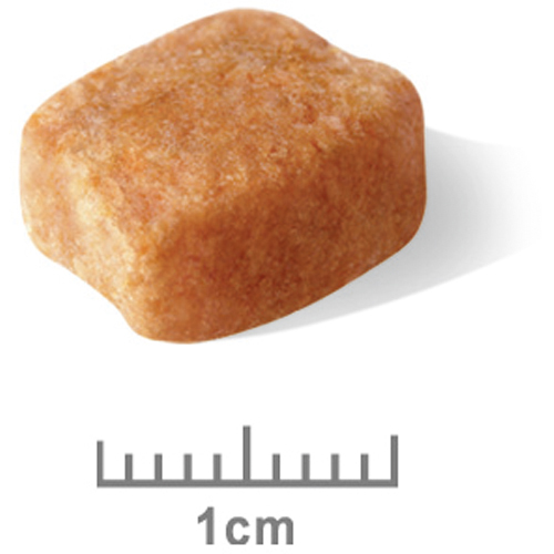 ロイヤルカナンＢＨＮ　ダックスフンド　中高齢犬用　１.５ｋｇ