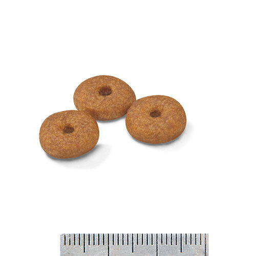 ＳＨＮ　ミニ　エイジング１２＋　３．５ｋｇ