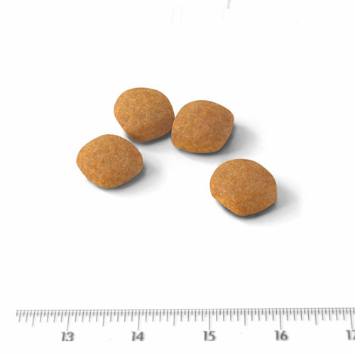 ロイヤルカナンＦＨＮ　プロテインエクシジェント　２ｋｇ