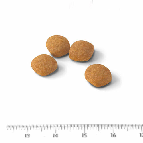 ロイヤルカナンＦＨＮ　プロテインエクシジェント　２ｋｇ