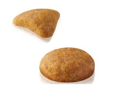ロイヤルカナンＦＨＮ　セイバーエクシジェント　４００ｇ
