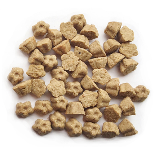 ロータス　キャット　グレインフリー　フィッシュレシピ　４００ｇ