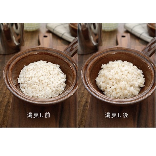プレミックス）玄米ごはんフレーク　１００ｇ