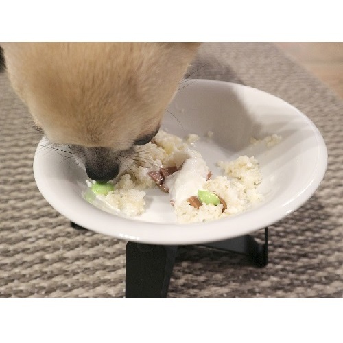 プレミックス）玄米ごはんフレーク　１００ｇ