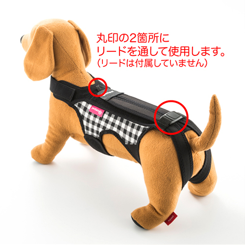 コムペット　ホロノアサポーター　ブラックＳサイズ