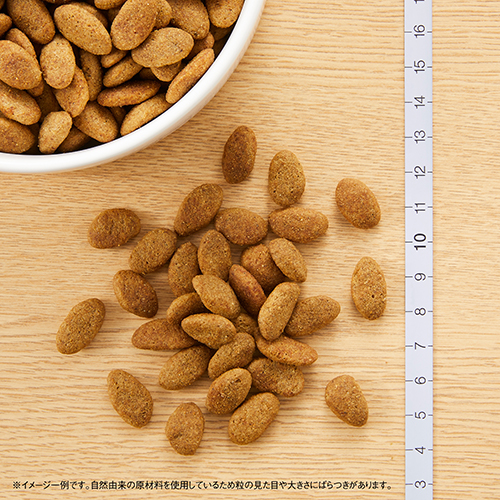 ニュートロ　シュプレモ　成犬用　２ｋｇ