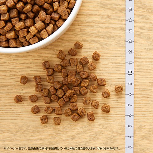 ニュートロナチュラルチョイス　チキン＆玄米　超小型犬用〜中型犬用　子犬用　６ｋｇ