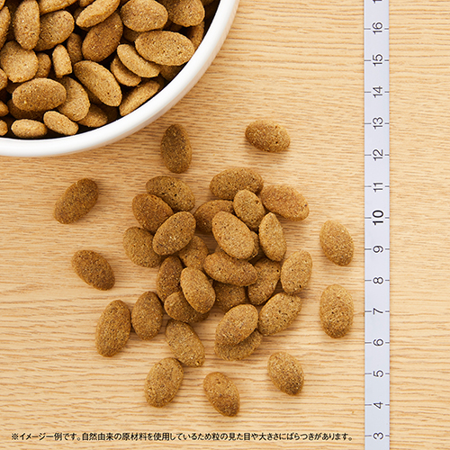 ニュートロ　シュプレモ　体重管理用　成犬用　４ｋｇ