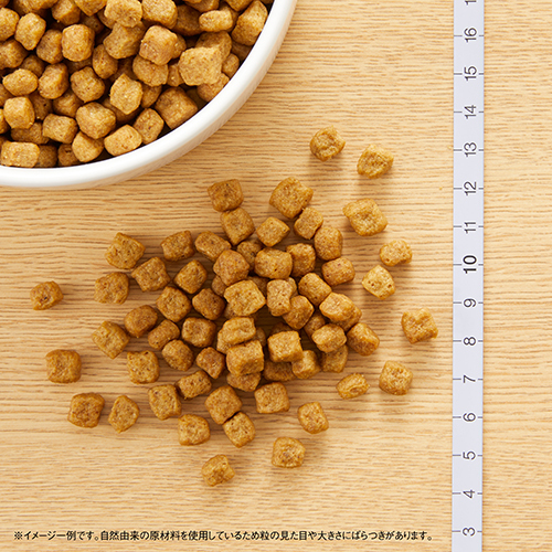 ニュートロナチュラルチョイス　チキン＆玄米　小型犬用　エイジングケア　３ｋｇ
