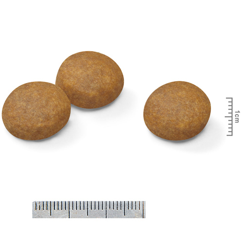 ロイヤルカナンＳＨＮ　マキシアダルト５＋　１５ｋｇ