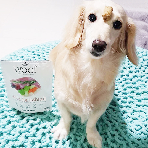 ＷＯＯＦ　ワフ　フリーズドライドッグフード　ワイルドブラッシュテイル　５０ｇ