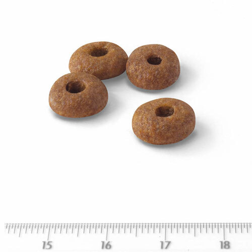 ロイヤルカナンＦＨＮ　フィット３２　１０ｋｇ