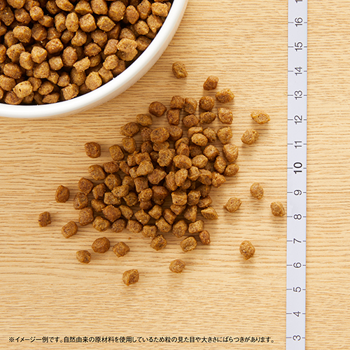 ニュートロナチュラルチョイス　チキン＆玄米　超小型犬用　成犬用　４ｋｇ