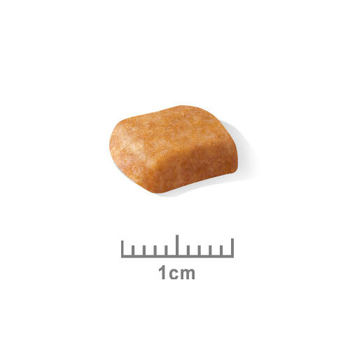 ロイヤルカナンＢＨＮ　プードル　子犬用　１.５ｋｇ
