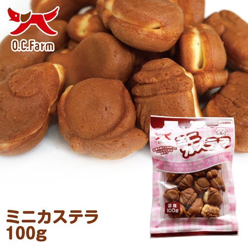 ミニカステラ　１００ｇ