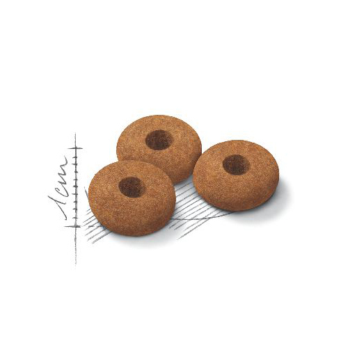 ロイヤルカナンＦＣＮ　アペタイトコントロール　４００ｇ
