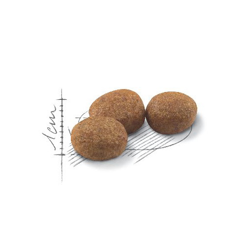 ロイヤルカナンＦＨＮ　ステアライズド　２ｋｇ